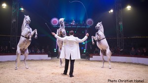 Festival International du Cirque 2018 - Numéro chevaux Marlon Zinnecker